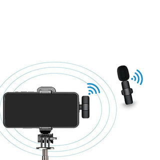 Wireless Portable Microphone