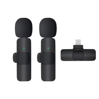 Wireless Portable Microphone