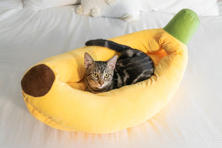 Banana Cat Bed