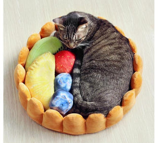 Fruit Tart Cat Bed