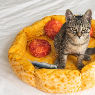 Pizza Cat Bed